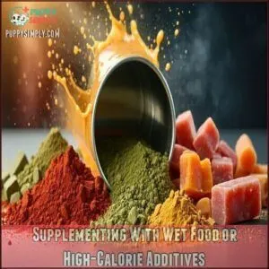 Supplementing With Wet Food or High-Calorie Additives
