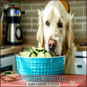Supports Weight Loss