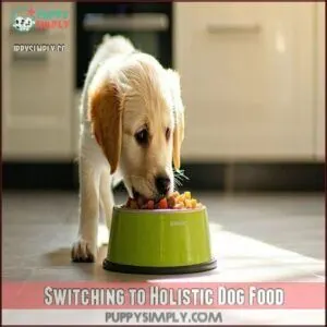 Switching to Holistic Dog Food