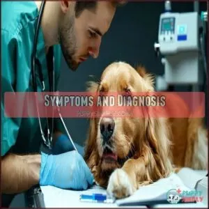 Symptoms and Diagnosis