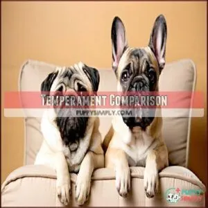 Temperament Comparison