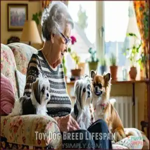 Toy Dog Breed Lifespan