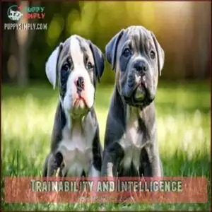 Trainability and Intelligence