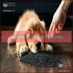 Treating Poppy Seed Poisoning