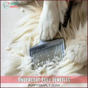Undercoat Rake Benefits