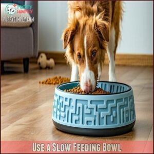 Use a Slow Feeding Bowl