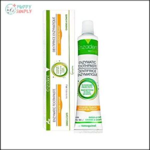 Vetoquinol Enzadent Enzymatic Toothpaste for