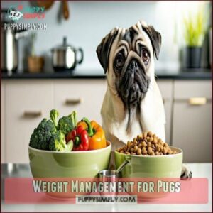 Weight Management for Pugs