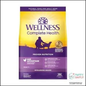Wellness Complete Health Senior Dry