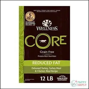 Wellness CORE Grain-Free High-Protein Dry