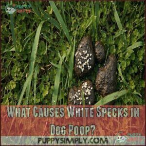 What Causes White Specks in Dog Poop What Causes White Specks in Dog Poop