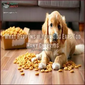 What Happens if Your Dog Eats Too Many Cheerios