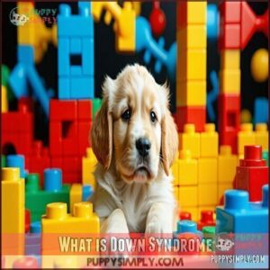 What is Down Syndrome