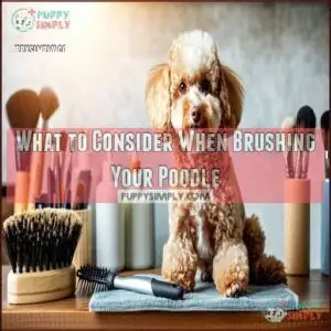 What to Consider When Brushing Your Poodle