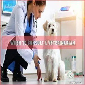 When to Consult a Veterinarian