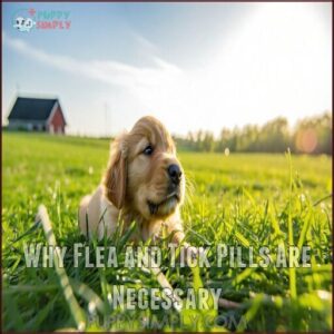 Why Flea and Tick Pills Are Necessary