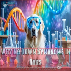 Why No Down Syndrome in Dogs