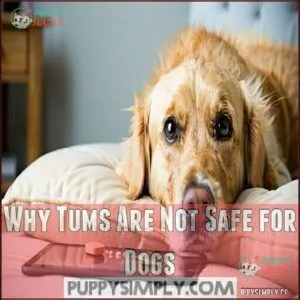 Why Tums Are Not Safe for Dogs