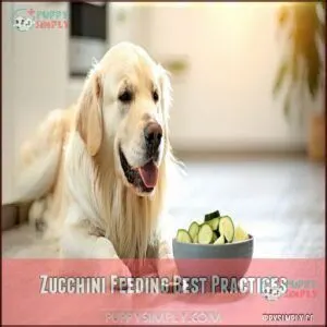 Zucchini Feeding Best Practices