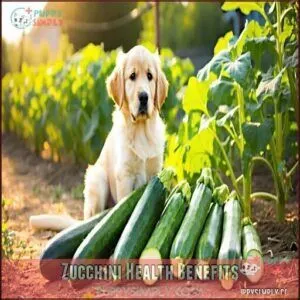 Zucchini Health Benefits