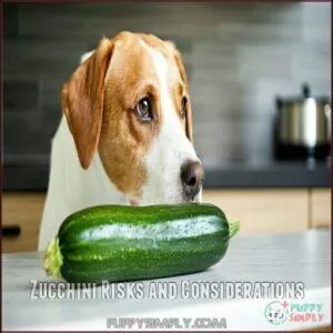 Zucchini Risks and Considerations