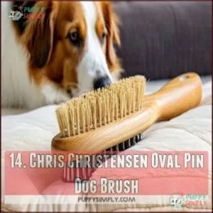 14. Chris Christensen Oval Pin Dog Brush