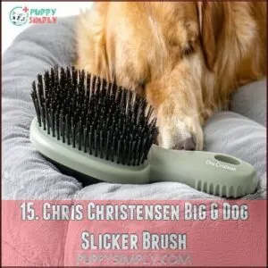 15. Chris Christensen Big G Dog Slicker Brush