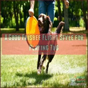 A Good Frisbee Flight Style for Playing Tug
