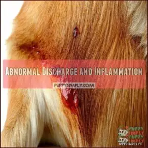 Abnormal Discharge and Inflammation