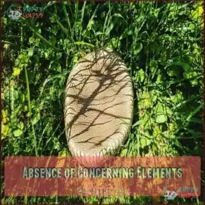 Absence of Concerning Elements