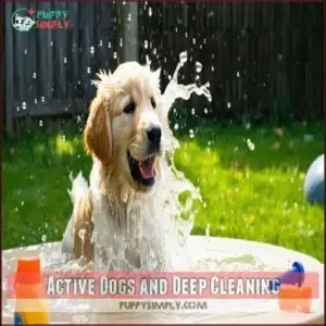 Active Dogs and Deep Cleaning