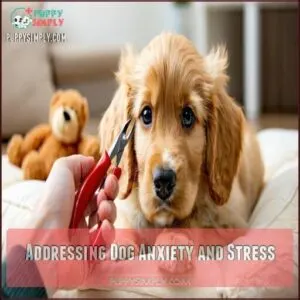 Addressing Dog Anxiety and Stress