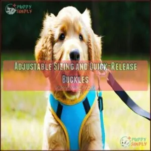 Adjustable Sizing and Quick-Release Buckles