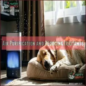 Air Purification and Reducing Irritants