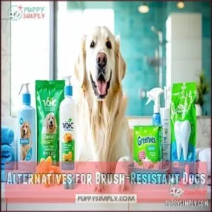 Alternatives for Brush-Resistant Dogs