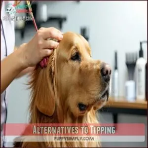 Alternatives to Tipping