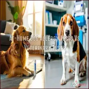 At-Home Dog Allergy Tests Vs Veterinary Tests