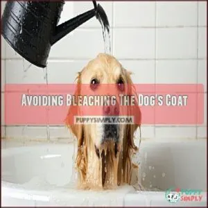 Avoiding Bleaching The Dog's Coat