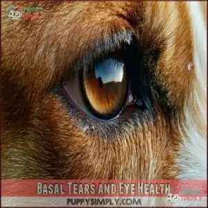 Basal Tears and Eye Health