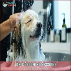 Basic Grooming Sessions