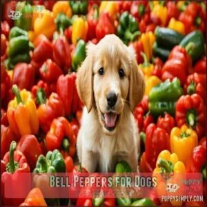 Bell Peppers for Dogs