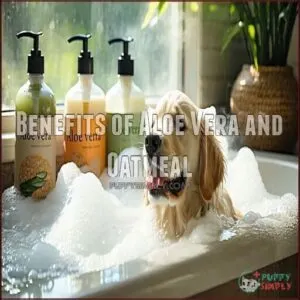 Benefits of Aloe Vera and Oatmeal