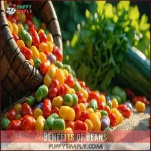 Benefits of Beans