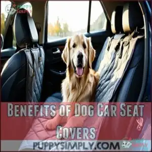 Benefits of Dog Car Seat Covers