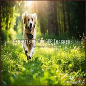 Benefits of Dog GPS Trackers