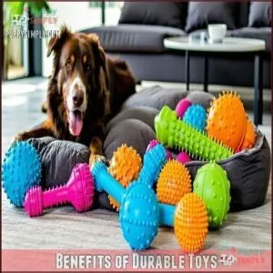 Benefits of Durable Toys