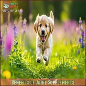 Benefits of Joint Supplements
