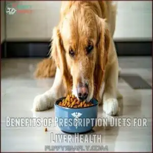 Benefits of Prescription Diets for Liver Health