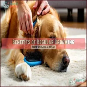 Benefits of Regular Grooming