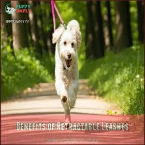 Benefits of Retractable Leashes